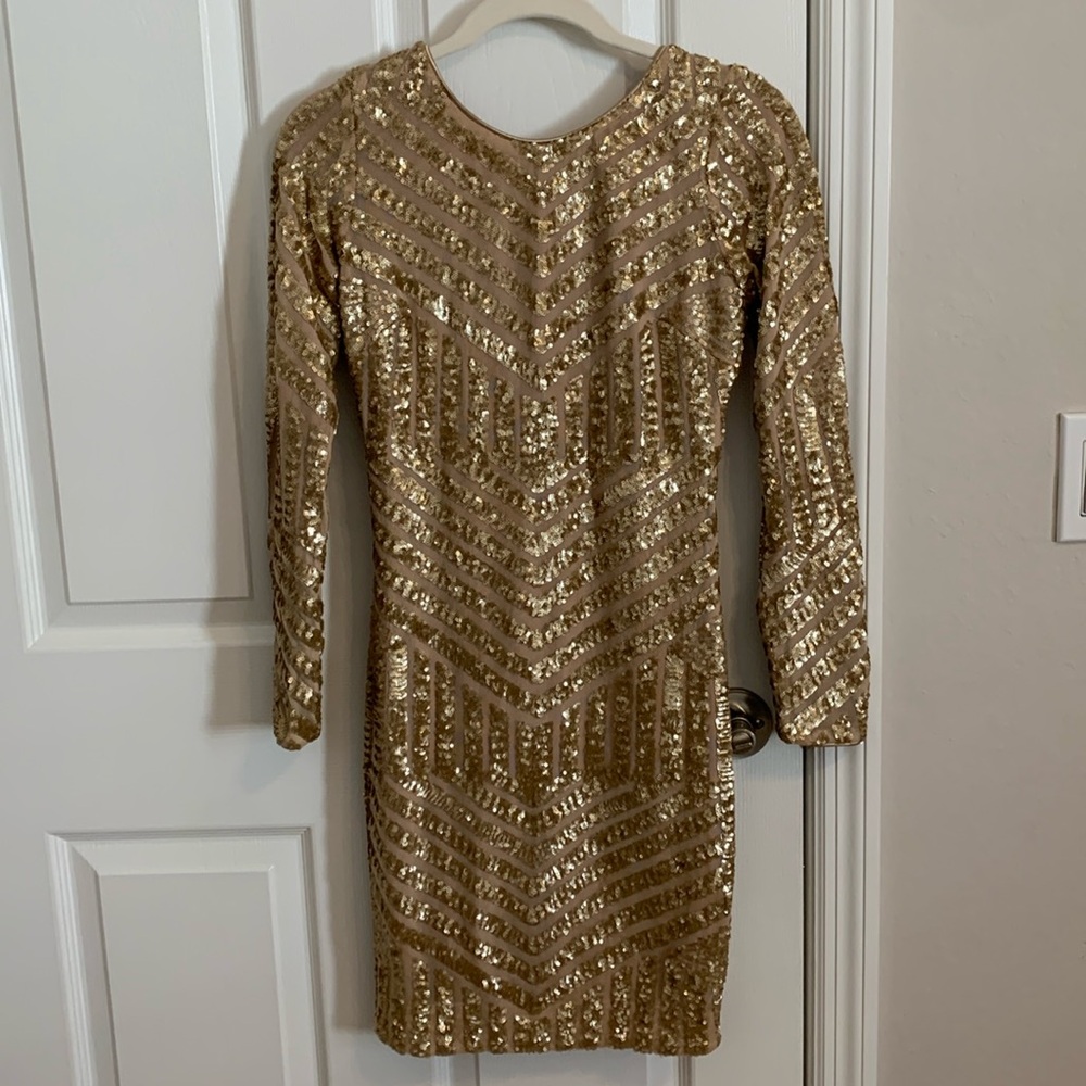 Dress the Population Sequin Dress